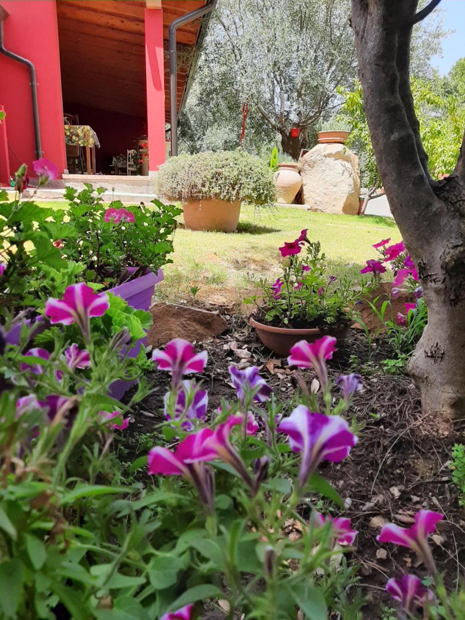 B&B Su Frascu Segau Teulada Exterior foto