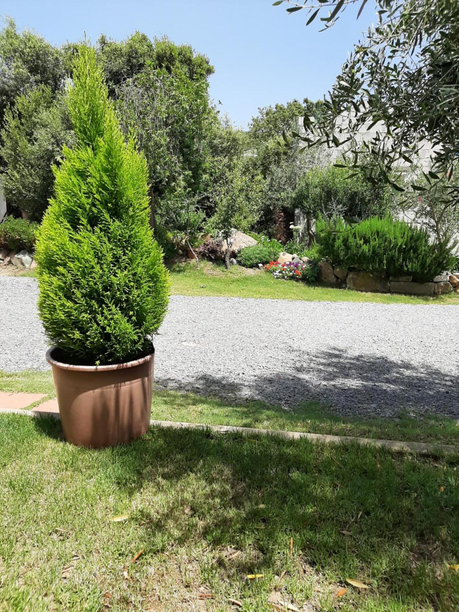 B&B Su Frascu Segau Teulada Exterior foto