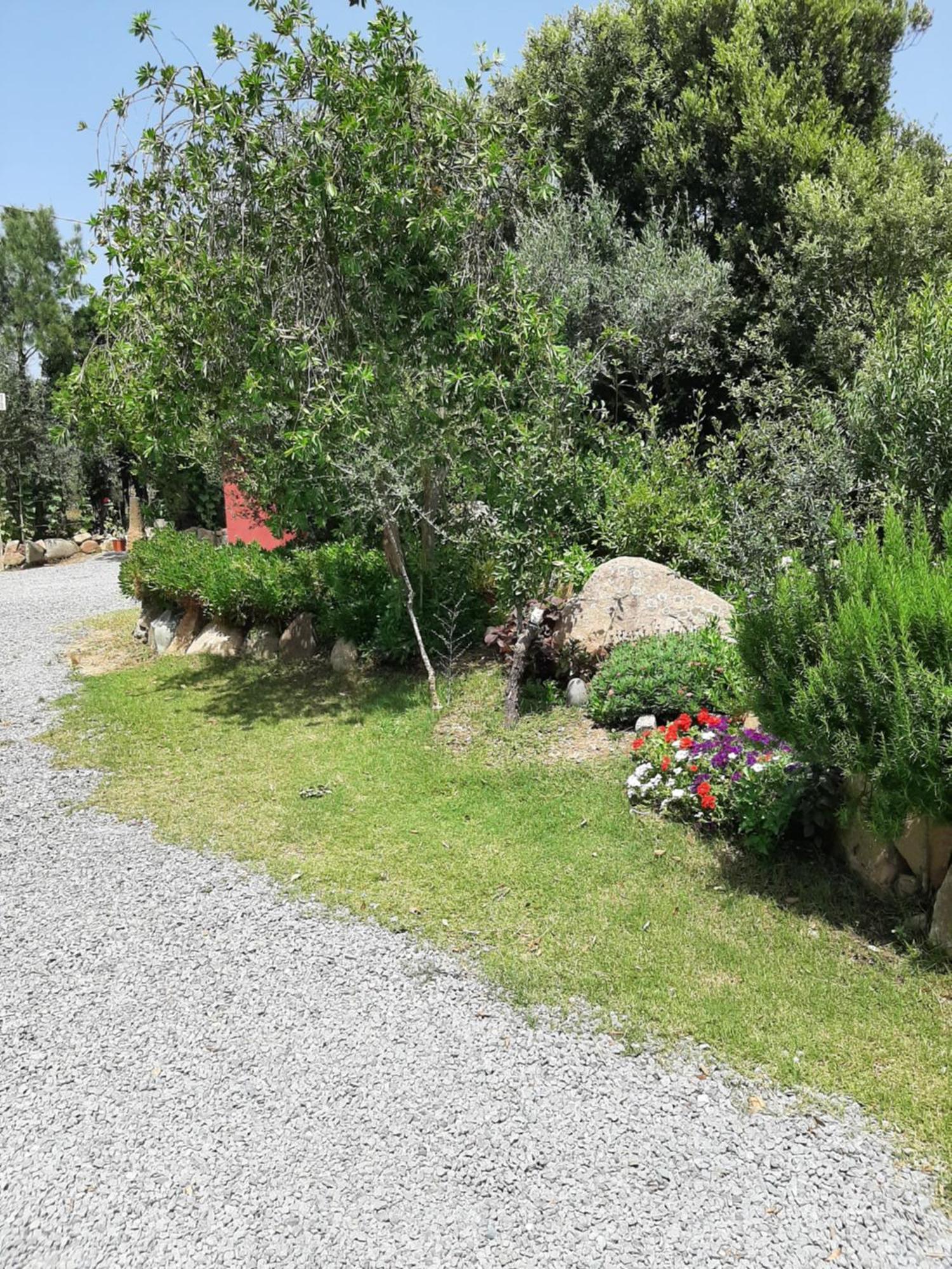 B&B Su Frascu Segau Teulada Exterior foto
